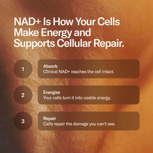 Enhanced NAD+ Working
